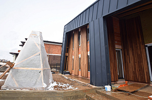 Идеальное решение для нашего климата: термоясень, не боящийся влаги и перепадов температур