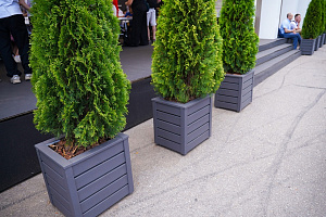 Изящные деревянные кашпо от Лесобиржи-СПб: столярное мастерство для знаковых проектов