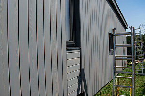 масло на дереве