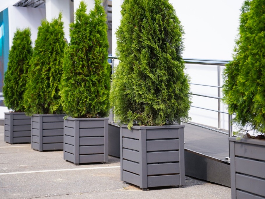 Изящные деревянные кашпо от Лесобиржи-СПб: столярное мастерство для знаковых проектов