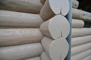 Качество не всегда стоит дорого: выбор масла Renner YS M046 для сруба в Приозерье с гарантией 8 лет