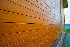 крашенный планкен