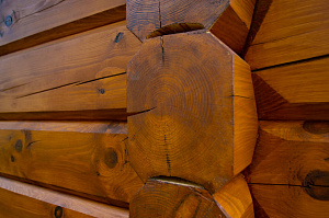 дом из бруса под маслом renner