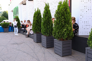 Изящные деревянные кашпо от Лесобиржи-СПб: столярное мастерство для знаковых проектов