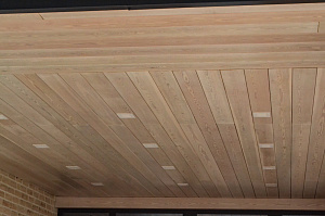 крашеный планкен