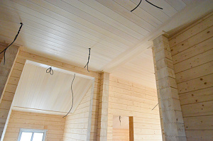 сосна ангарская экстра