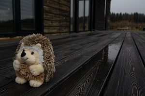 масло от rennar