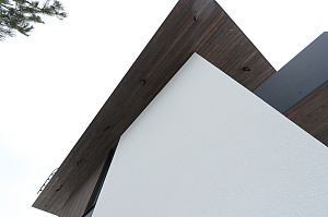 Комбинированный фасад от Лесобиржа-Спб: гармония стиля и долговечности в 