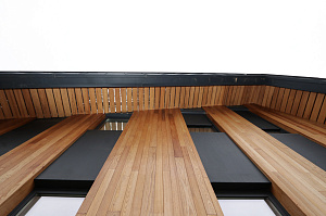 Идеальное решение для нашего климата: термоясень, не боящийся влаги и перепадов температур