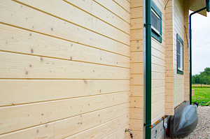 фасад под маслом renner