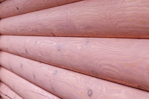 Секрет идеального восстановления: глубокая шлифовка, грунт Renner и финиш, не требующий перешлифовки