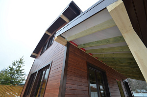 Свесы каркасного дома