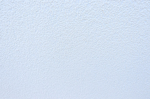 Фасад и баня в стиле 