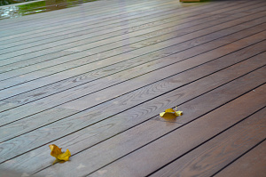 крашеная терраса