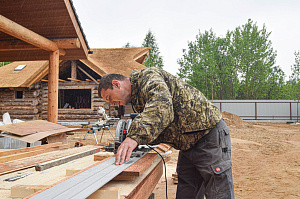 Кемпас — дерево, которое не боится ничего: экзотика с характером на вашей террасе
