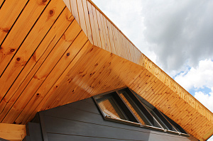 покрасим ваш дом