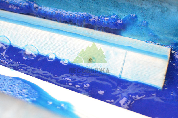 Нужен ли антисептик: честный ответ для северо-запада и схемы, которые реально работают