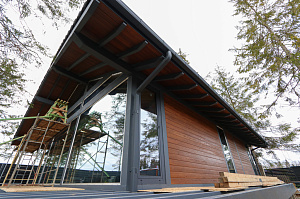 От подготовки материала до монтажа: как выглядит правильная отделка деревом