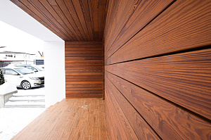 планкен из термососны