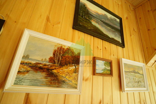 Отделка евровагонкой: технология монтажа и советы по уходу за деревом