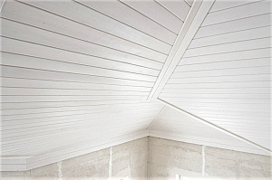 вагонка из ангарской сосны