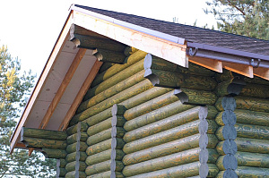 Баня мечты в Бобровом: комплексная отделка и покраска сруба