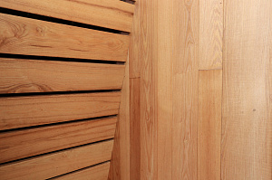 Идеальное решение для нашего климата: термоясень, не боящийся влаги и перепадов температур