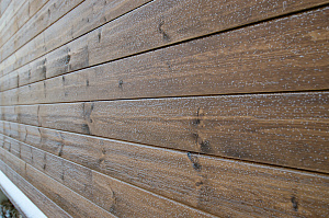 сосновый планкен