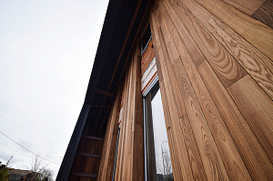 Идеальное решение для нашего климата: термоясень, не боящийся влаги и перепадов температур