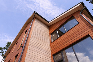 Петергоффские аллеи требуют статуса: как термолиственница преобразила каркасный дом в элитном посёлке