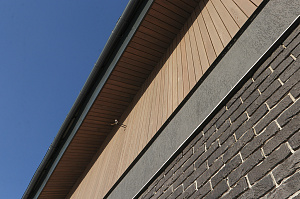 Элегантный фасад и свесы: монтаж планкена в Gatchina Villages - 2