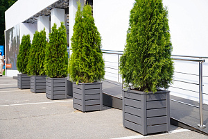 Изящные деревянные кашпо от Лесобиржи-СПб: столярное мастерство для знаковых проектов