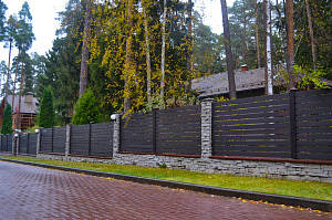 крашеный забор