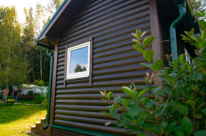 баня обшитая деревом