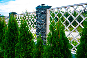 ограждение из сосновых шпалер