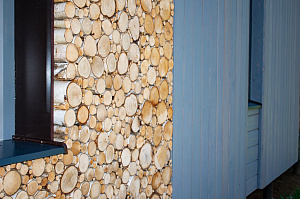 крашеный дом