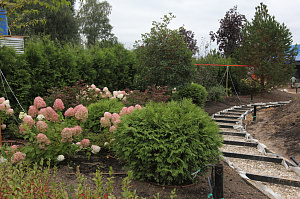 Масштабная реконструкция загородного дома: термоясень, фахверк с историей и идеальная геометрия каждого элемента