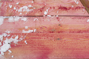 Не просто баня, а место силы: проект с парной на троих, уютной комнатой отдыха и крытой террасой