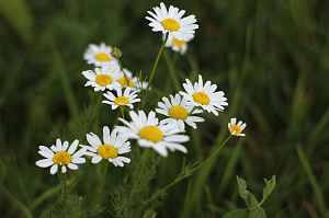 Идеальный баланс функциональности и эстетики: проект бани в Городке на Ладоге от Лесобиржи-Спб
