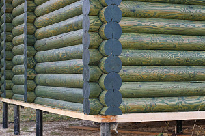 Баня мечты в Бобровом: комплексная отделка и покраска сруба