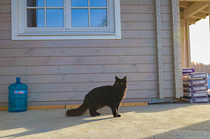 дом частный