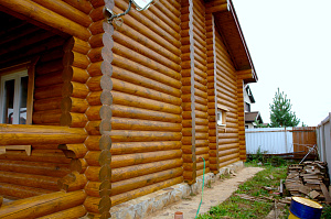 крашеный дом