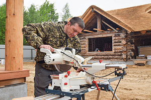 Кемпас — дерево, которое не боится ничего: экзотика с характером на вашей террасе