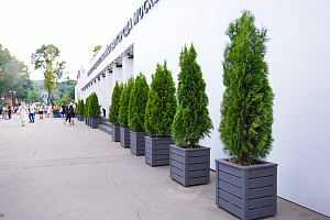 Изящные деревянные кашпо от Лесобиржи-СПб: столярное мастерство для знаковых проектов