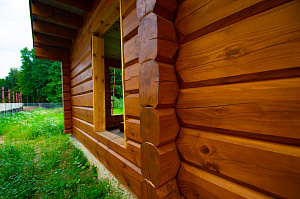 брусовой дом под маслом renner