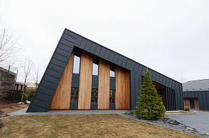 Идеальное решение для нашего климата: термоясень, не боящийся влаги и перепадов температур