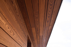 термодерево