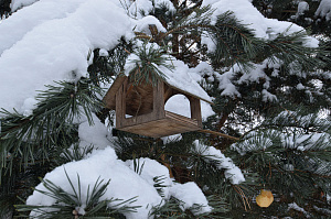 загородный дом