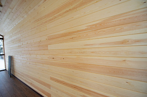 имитация бруса из ангарской сосны