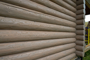 Покраска бревна маслом